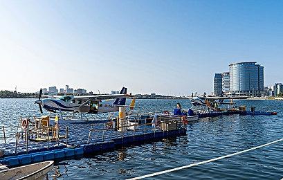 《古墓丽影》前编剧：希望新作不要再写父女关系