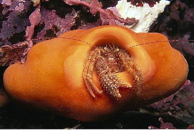 《装甲核心6》即将推出 老玩家传授“正确”手柄握法