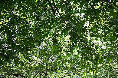 恐怖动作冒险游戏《岛津怪谈01》推出试玩Demo 2025年第一季度正式发售